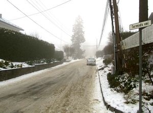 Tormods vei Oslo 2015.jpg