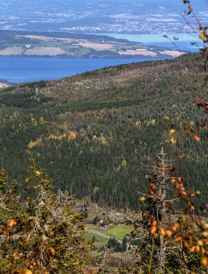Torsæterkampen 230924.jpg