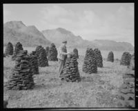 11. Torv - no-nb digifoto 20151125 00042 NB MIT FNR 08987.jpg