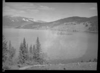 460. Totak mot Nesland - no-nb digifoto 20160223 00269 NB MIT FNR 02132 A.jpg