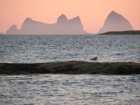 25. Træna 04.08.2006.jpg