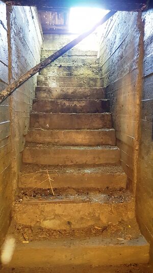 Trapp ned i anlegget.jpg