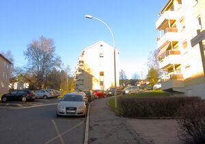 Traverveien Oslo 2013.jpg