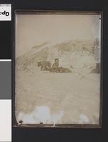 Tre av ekspedisjonens hunder, 1898. Fram i bakgrunnen. Foto: Nasjonalbiblioteket