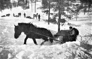 Trenet føres fram til fronten.jpg