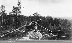 Treriksrøysa Sør-Varanger.jpg