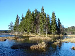 Triungvann nr2 04.11.jpg