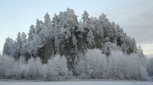 Trollskog Boedalen Roeyken.jpg