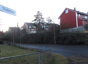 Trollstien Oslo 2013.jpg
