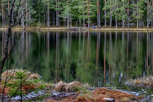 Trollvann Østmarka 200426.jpg