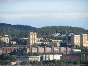 Trosterud Oslo 2013.jpg