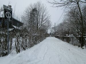 Tuengveien Oslo 2015.jpg