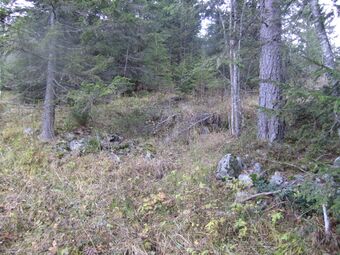 Tuftene på plassen Fjellbu (be-2010-10-23 - IMG 0025).JPG