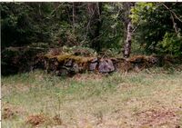 Tuftene ved Halssetra i 1991. (Foto: Arne Thorkildsen)