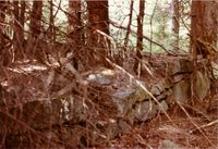 170. Tufter etter plasser (oeb-181759).jpg