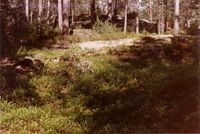 195. Tufter etter plasser (oeb-201869).jpg