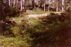 Tufter etter plasser (oeb-201869).jpg