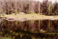 355. Tufter etter plasser (oeb-201870a).jpg