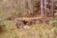 356. Tufter etter plasser (oeb-201870b).jpg