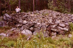 Tufter etter plasser (oeb-2018729.jpg