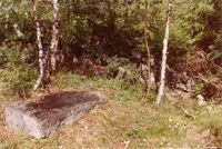 113. Tufter etter plasser (oeb-201878).jpg