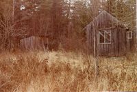 358. Tufter etter plasser (oeb-201882).jpg