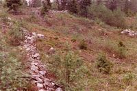 359. Tufter etter plasser (oeb-201888).jpg