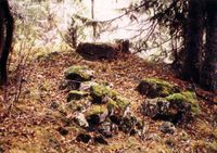 189. Tufter etter plasser (oeb-201892).jpg