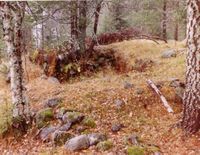 190. Tufter etter plasser (oeb-201894).jpg