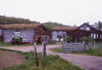 3. Tun i Femundområdet.jpg