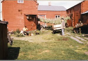 Tuomainengården badstulimer.jpg