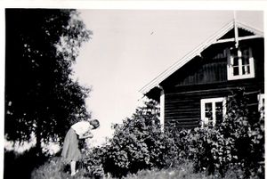 Turid-Veiby foran Engeli.jpg