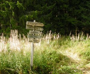 Tursti Vestmarka.jpg