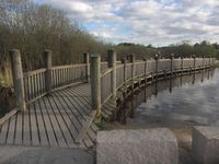 Turvei ved sørenden av vannet. Foto: Stig Rune Pedersen (2012).