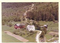 Tveiten i Hauggrend 1961 der Signe var busatt som vaksen