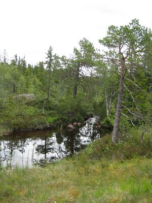 Tverrelva (be-2008-07-18-IMG 2473).JPG