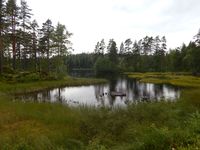 89. Tvillingtjenn i Setskog.JPG