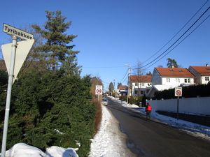 Tyribakken Oslo 2015.jpg