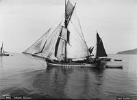 Jakter på Valderhaugfjorden. 1892 like vanleg som ein lastebil 100 år seinare