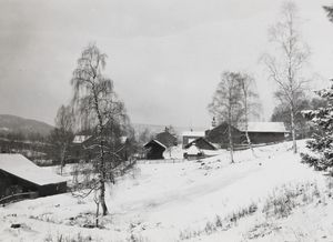 Uidentifisert sted tilknyttet Bjørnson-familien - no-nb digifoto 20160712 00178 bldsa BB0711.jpg