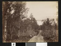 160. Ukjent nummer Nordland, Parti fra Tromsøen - no-nb digifoto 20160108 00258 bldsa AL1149.jpg