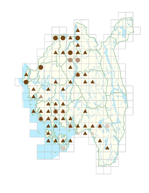 Ulmus glabra subsp. glabra.png
