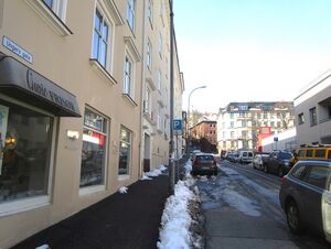 Ungers gate Oslo 2015.jpg