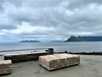 Motiv fra Ureddplassen, juni 2023. Foto: Mari Olsen