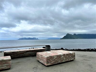 Motiv fra Ureddplassen, juni 2023. Foto: Mari Olsen (2023).