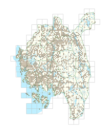 Urtica dioica subsp. dioica 1.png