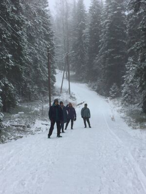 Utetrening Av Aktive Kvinner i Bjerke i Lillomarka.jpg