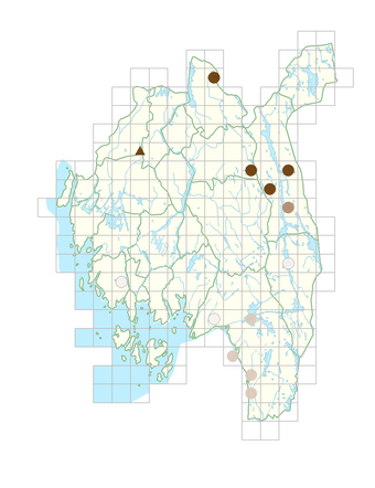 Utricularia stygia.png