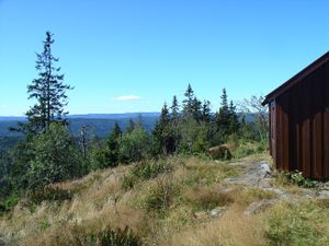 Utsikt fra Tjæsegrashøgda.jpg