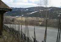 6. Uvdalsøyan Numedal 2007.jpg